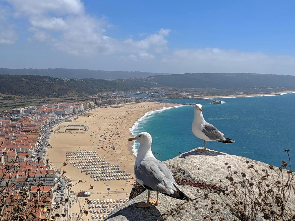 Blue Boat House - The Atlantic Breeze Apartment Nazaré Exterior foto